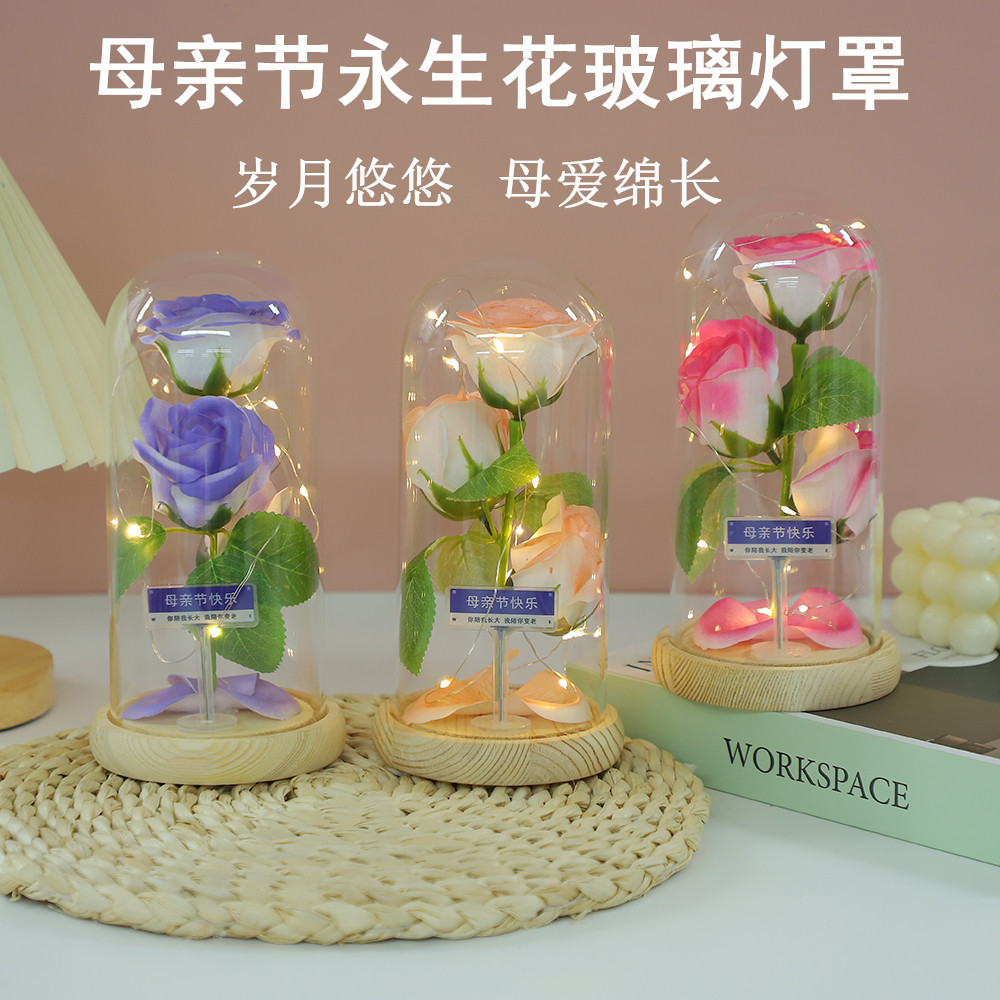 Fábrica al por mayor Flor eterna Cubierta de vidrio Clavel Caja de regalo Flor simulada Decoración de escritorio Día de la madre Regalo para mamá