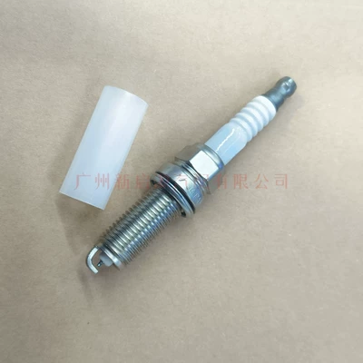Alışdırma şamı (Sveçalar) 05E905602 Ordinary Nickel
