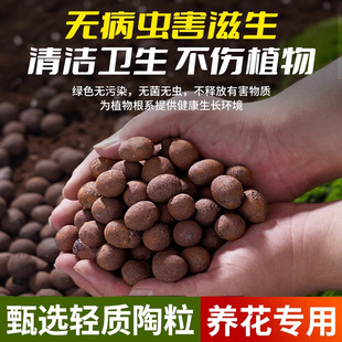 Ceramsite Pad Special for Flower Cultivation Fleshy Nutrient Soil Flower Pot Backfill Fish Tank Hydroponic Pavement Volcanic Stone Granular Plants