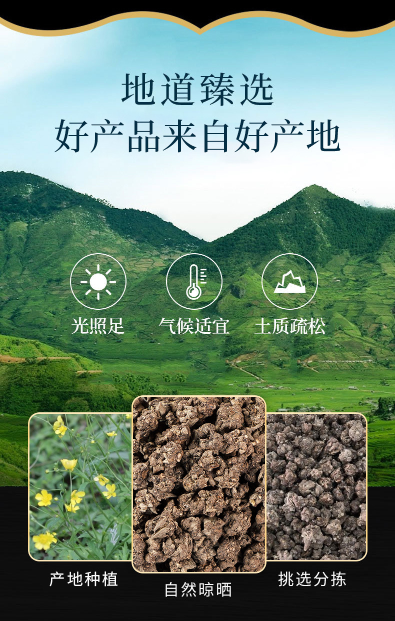 Mao Zhua Cao Powder (Ranunculus ternatus) — Dried Food Herb, 500g overview