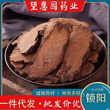 iꖮaֱl ½i și  iꖂNҎ̼Ұ]