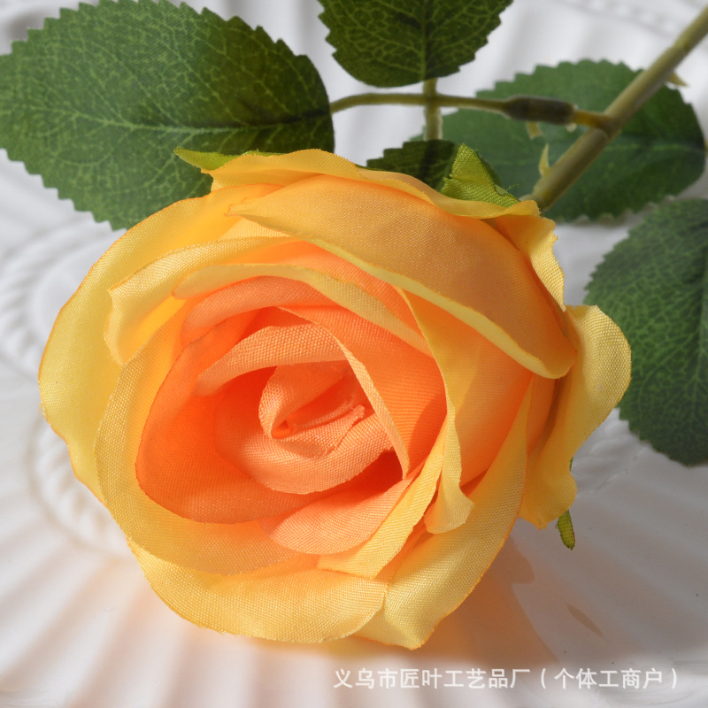 리틀 파리 오렌지