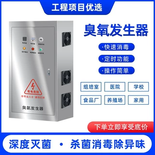 水处理臭氧发生器商用饮水净化杀菌设备高浓度消毒机工厂全自动