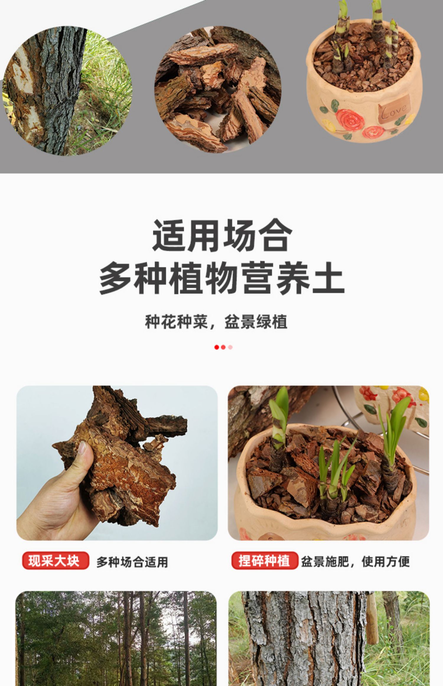 松树皮松鳞片树木花坛营养土介质覆盖物大块花盆垫材松皮原材包邮-阿里巴巴