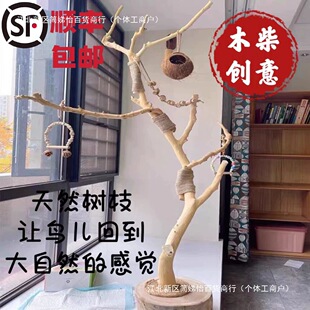 �ɘ�֦ԭľ辸��B�������W�^վ��ˇ�g��֦��ľ��ɼܵ�������b�