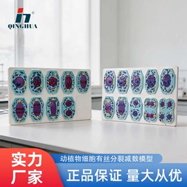 数理教学器材;教学演示用品;生物教学器材