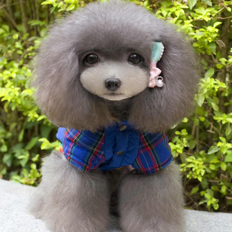 새해 개 다운 코트, 애완 동물 플러스 벨벳 및 두꺼운 고양이 옷, 개 코트를위한 새로운 겨울 후드 4 다리 코트