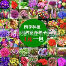 ������M؛��̫ꖻ��N��Ұ���M�ϷN��ɏ���N����̈Fُ���N��؛Դ