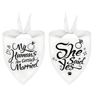 Amazon Customized Copywriting Care for Pets Advertising Wedding Photos Gifts Birthday Gifts