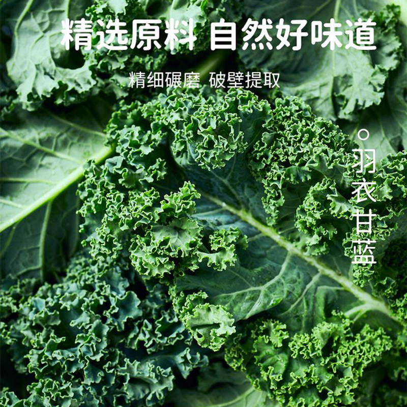 中国の伝統的な薬用植物ケールとチアシード豆乳パウダーは、朝食、昼食、夕食の代替として自己規律的な食事の代替として使用できます。|undefined