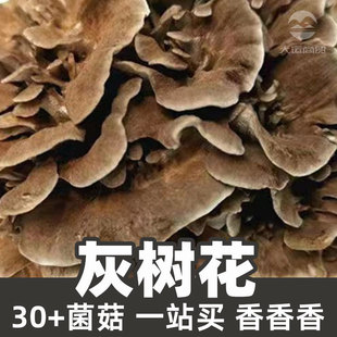 �Ҙ仨1kgʳƷ������ԭ�ϸ�ɢ؛griflola frondosa