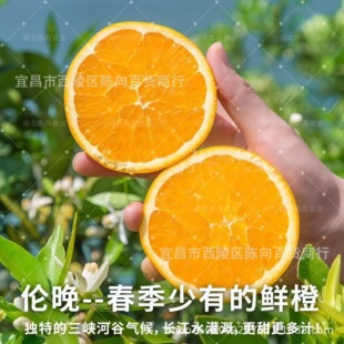 �������w��������Ě�Ȯ������r�ЋDˮ���ք������