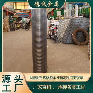 Welded Wire Mesh Construction Plastering Anti-Crack Mesh Interior and Exterior Wall Insulation Mesh Plastic Dipped Welded Wire Mesh Stainless Steel Wire Mesh