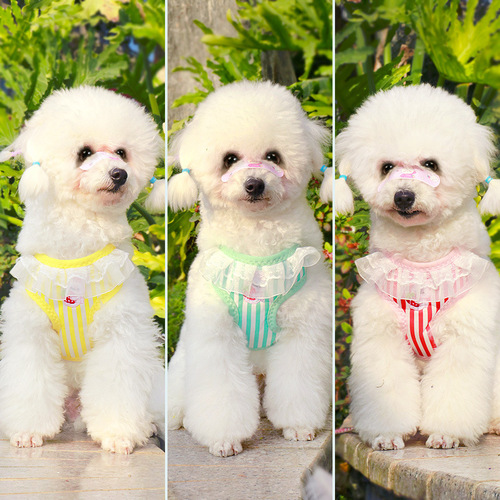 Plain embroidered dog leash harness Teddy Pomeranian pet leash dog leash dog leash pet supplies