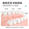 梵贞 Fresh hygienic disposable handheld mouthwash for oral cavity, wholesale