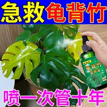 龟背竹肥营养液肥料土培水培盆栽花卉通用型氮磷钾酸性水溶肥