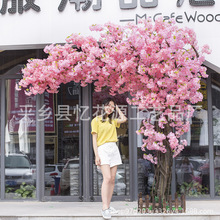 ��ľ�ѻ��䙻���҃��b�c�٘���;Gֲ�Ƶ��̈��S���߷�