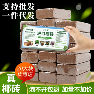 ���ݰlҬ�u�I�B�����sҬ��Ó�}�N���B��ͨ���������Nֲ��KҬ����