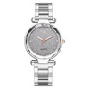 Watch, fashionable starry sky, quartz watches, steel belt, new collection