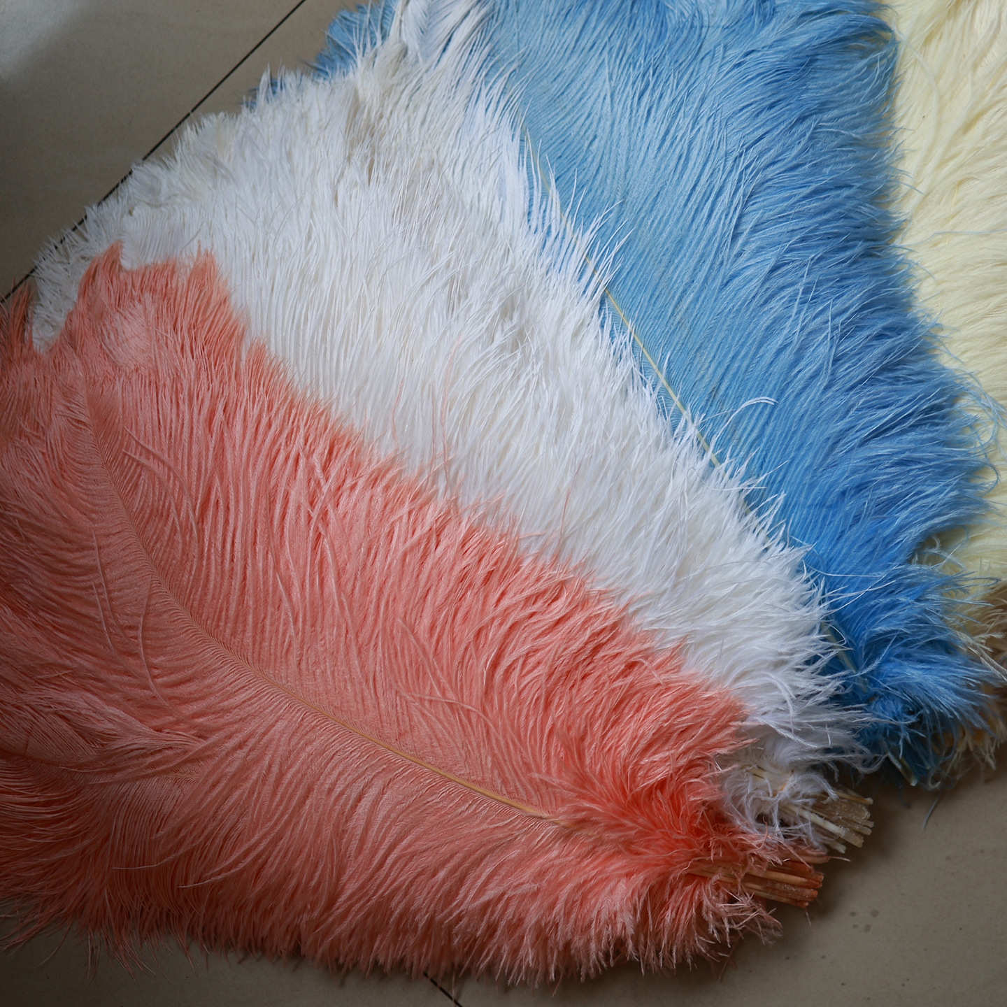 EU4A6662.JPG