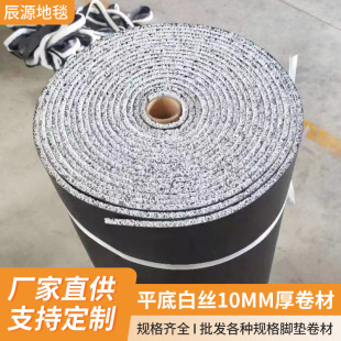 Customized Wire Loop Carpet Pvc Non-Slip Floor Mat Home Corridor Hall Door Mat Hot Melt Wire Loop Car Floor Mat Roll Material