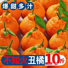 不知火粑超甜四川丑橘新鲜水果沃柑批发粑柑非桔子耙耙柑三级端正