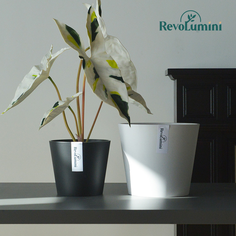 Plastic flowerpot flower-shaped for living room