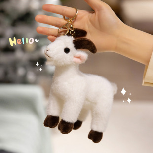 �ɐۺ�ɫСɽ����ë�q��߹���С�d����żŮ������耳׿�С���