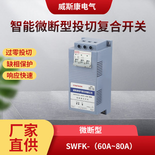 Weiscon Electric Swfk with Scr Module Switching Composite Switch 63A80A Switching Switch Can Be Customized