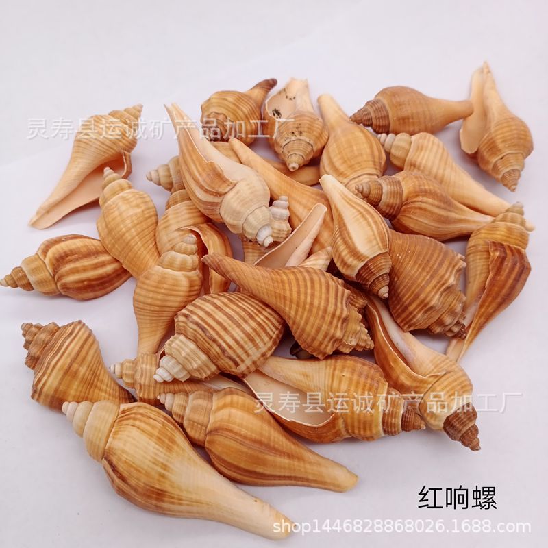 IMG_20210903_151348_副本