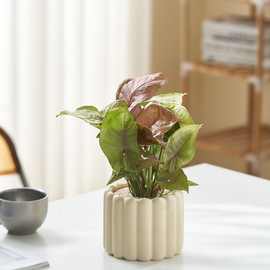 定制北欧ins风饼干棒造型水泥花盆白犀牛海芋室内盆栽植物容器