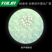 ޼�J���M�и�У�t�WԺУ�ýM������ʯϞ��Ƭ�˱��@΢�R