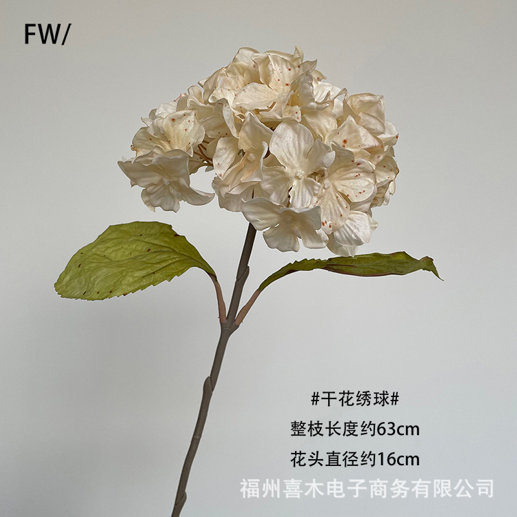 photo-output_2 9副本.jpg