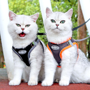Vest-Type Cat Traction Rope to Prevent Break-Away British Short Silver Gradient Breathable Harness Cat Rope Pet Chain