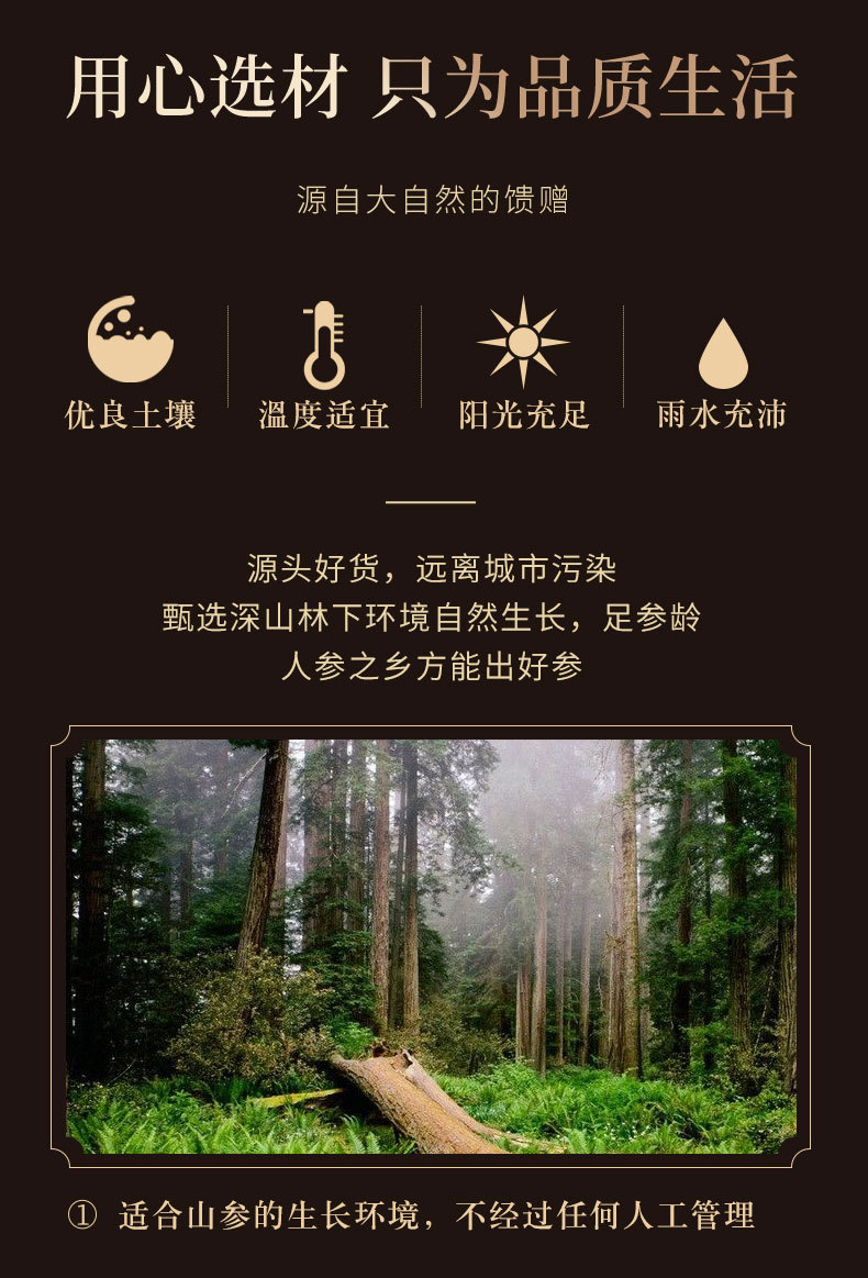 Changbai Mountain Forest Grown Ginseng Gift Box Whole Root for Cooking and Traditional Herbal Use key features