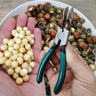 ����_�����u�^�ׄ���������Q�ӄ�ɏ�������܄���ɏ�ӹ���