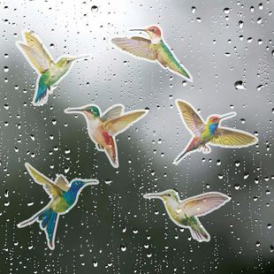 Cross-Border Hot Selling Various Bird Window Stickers Window Glass Door Wall Living Room Bedroom Home Beautification Decorative Wall Stickers