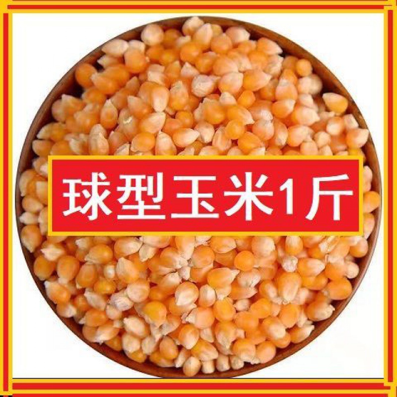 Popcorn Corn grain wholesale spherical raw material Burst Corn Dedicated household Corn 100g Stand alone