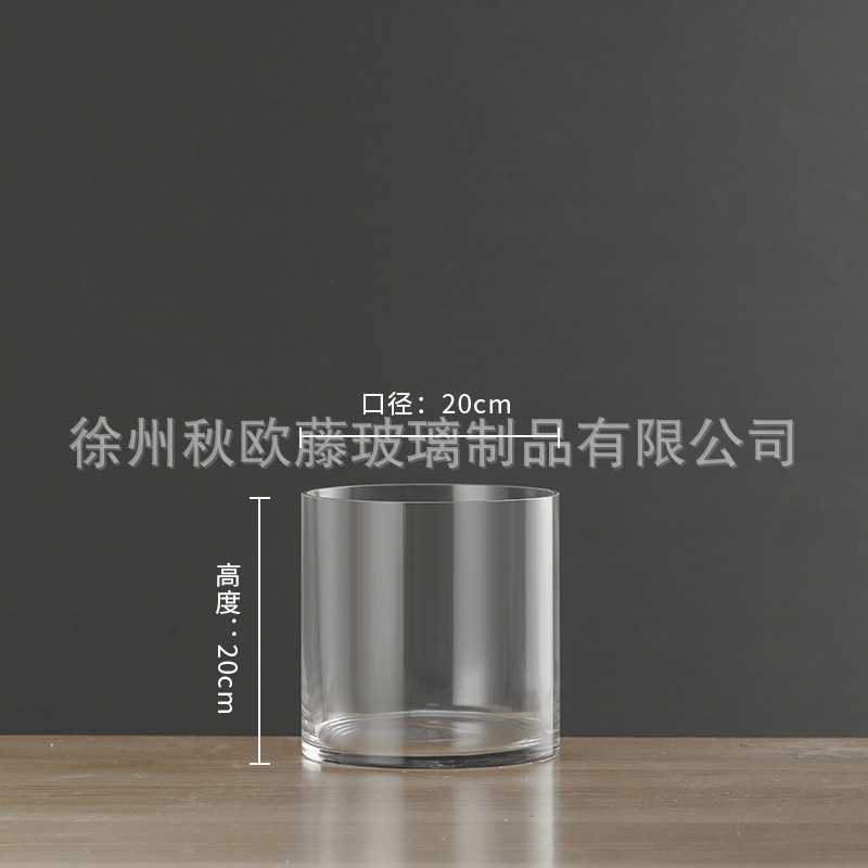 大号透明直筒玻璃花瓶批发客厅落地富贵竹鲜花水培花器摆件ins风|undefined
