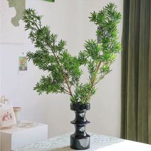 insfengrˮ_hɾGֲˮBLmRRľƽinsL