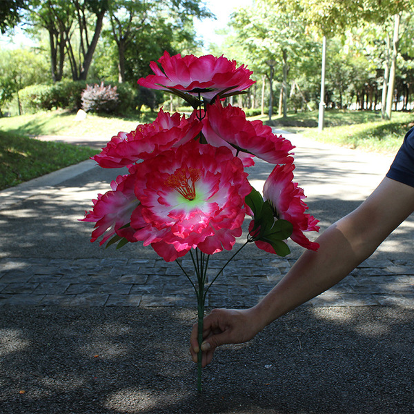 Simulation peony bouquet 7 heads of big peony 60 cm decorative…