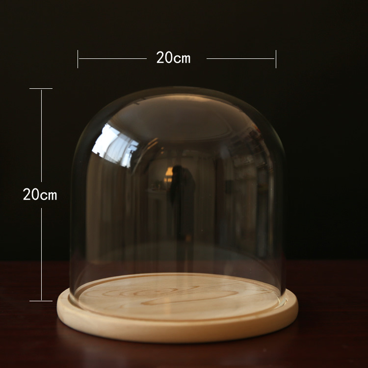 Fábrica eterna flor cubierta de vidrio creativo artesanía decoración transparente florero de cristal soporte varios tamaños