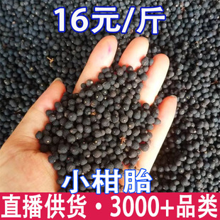 С��̥ ����̥ �Լ������Ϙ�Ȧ֦ һ�����l