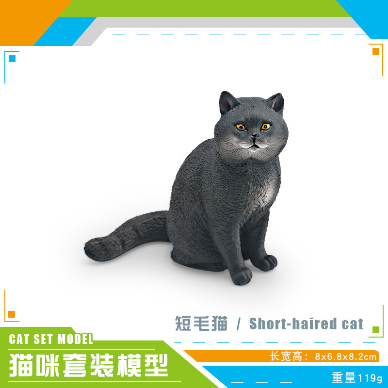 Pl127 - 2333 gato de pelo corto 119g