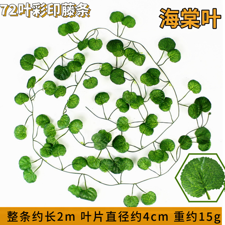 72 lá thu hải đường-1