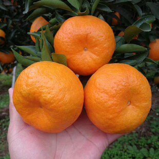 ����ո̘������Ә���ո�����ԟo�˼޽��J�̽��Ә��箔��Y����