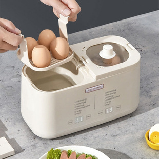 Double-Gallon Egg Cooker, Multifunctional Egg Steamer, Scheduled Automatic Power-Off, Household Small Egg Custard Breakfast Artifact