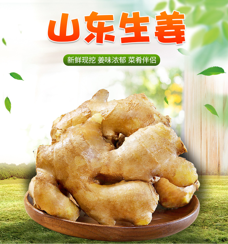 山东-生姜_01.jpg