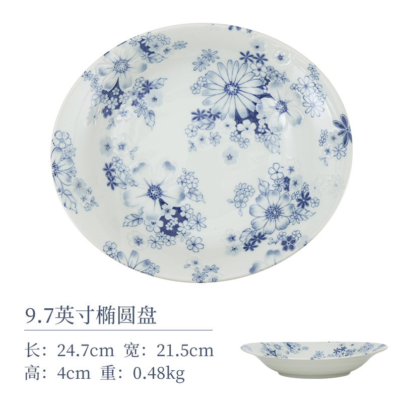 9.7 -Inch Ellipse Disc