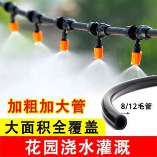 �F�����^΢�F�r�Ç��F���Ԅӝ�������ˮ���ܽ��س��m΢�����ϵ�y